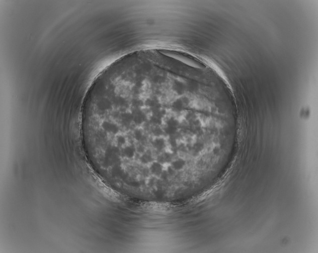 X0000089960831200707271859