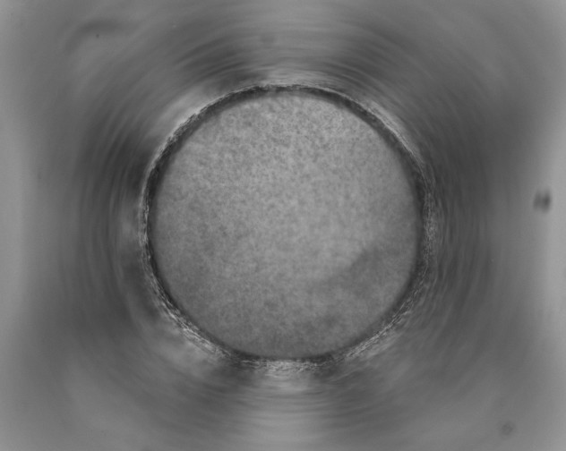 X0000089960832200707271859