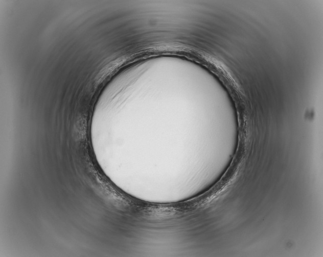 X0000089960833200707271859