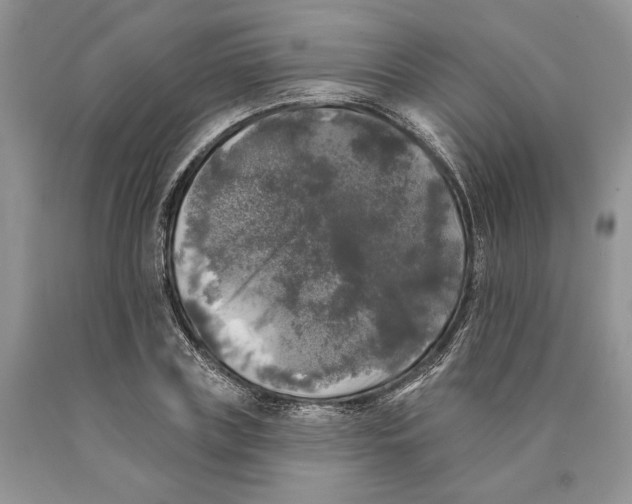 X0000089960835200707271859