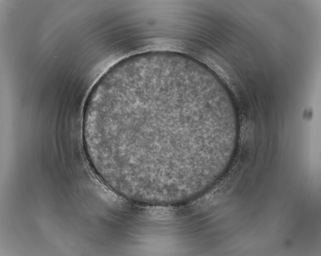 X0000089960836200707271900