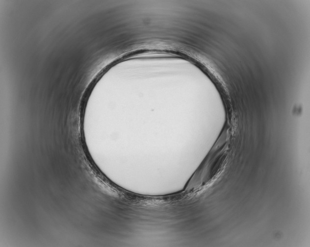 X0000089960837200707271900