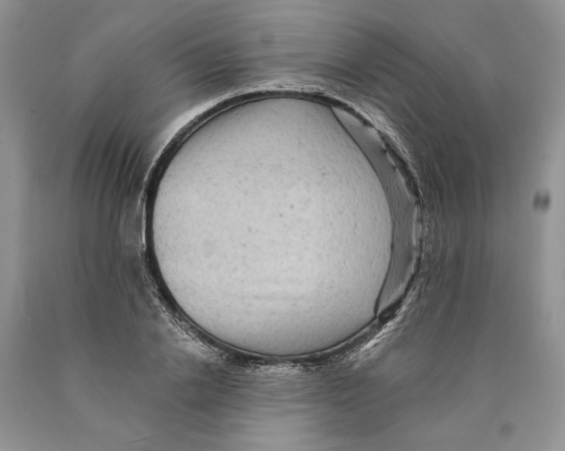 X0000089960838200707271900