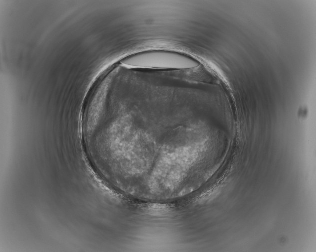 X0000089960839200707271900