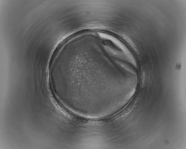 X0000089960840200707271900