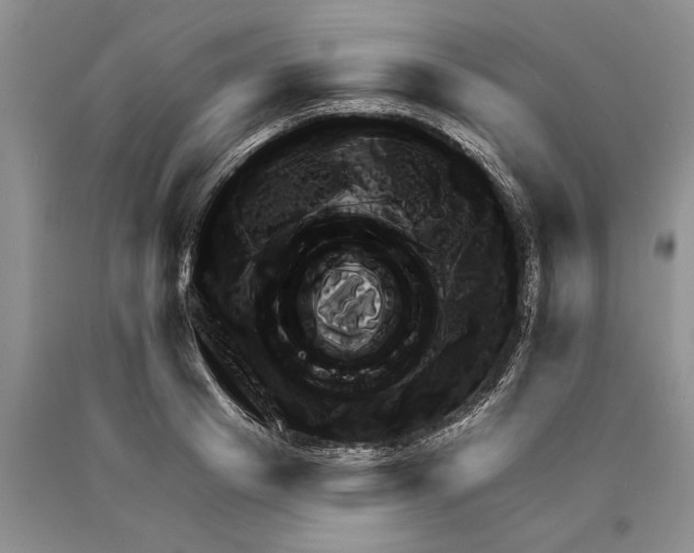 X0000089960841200707271900