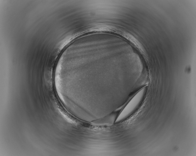 X0000089960842200707271900