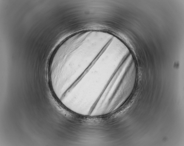 X0000089960843200707271900