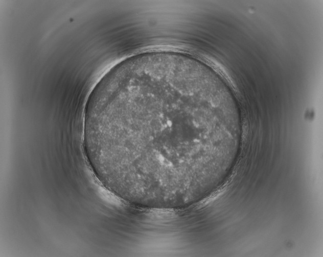 X0000089960844200707271900