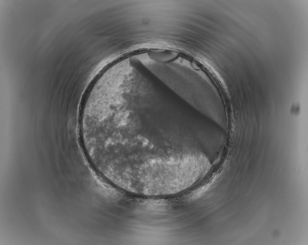 X0000089960845200707271900