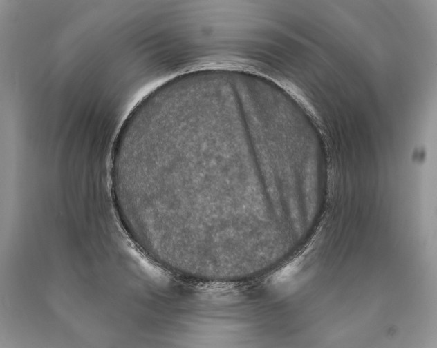 X0000089960846200707271900