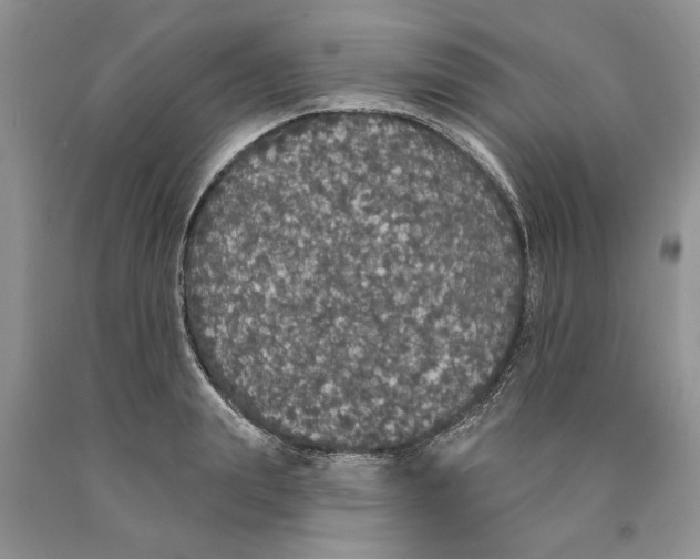 X0000089960847200707271900