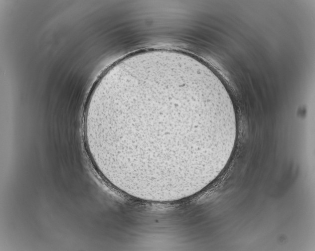 X0000089960848200707271900