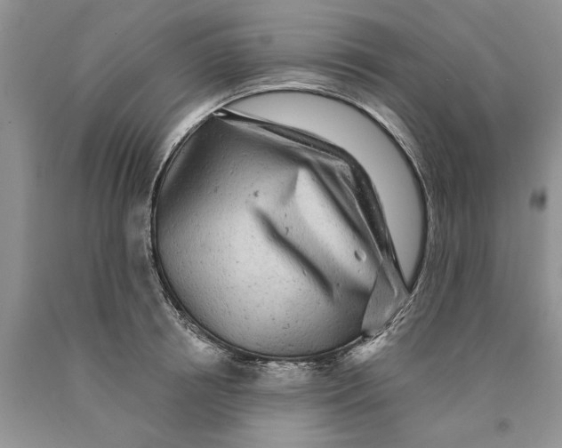 X0000089960850200707271900