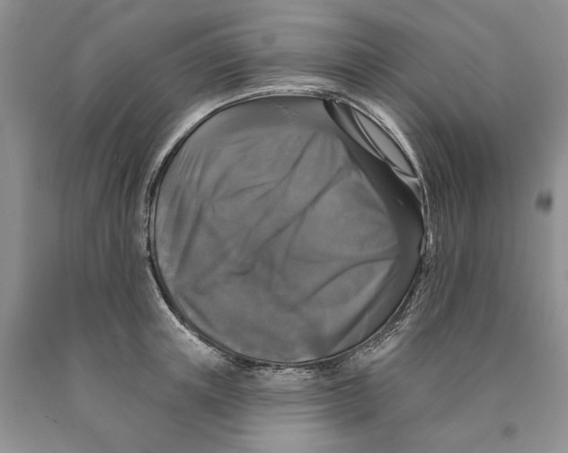 X0000089960851200707271900