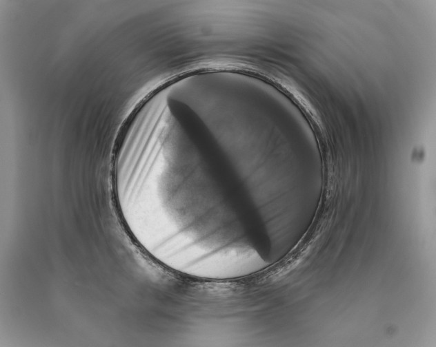 X0000089960853200707271900