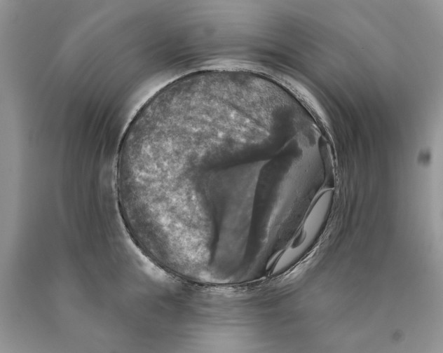 X0000089960855200707271900