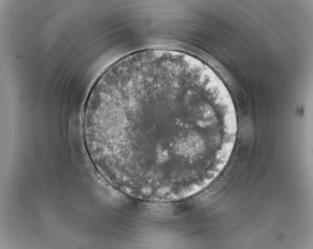 X0000089960856200707271900