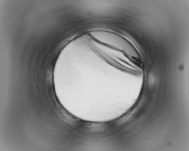 X0000089960857200707271900