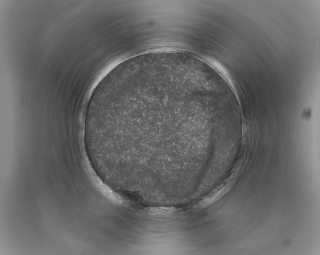 X0000089960859200707271900