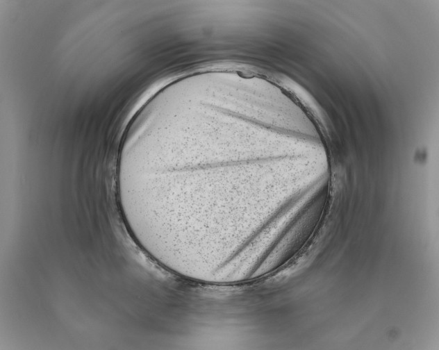 X0000089960860200707271900