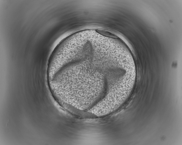 X0000089960861200707271900