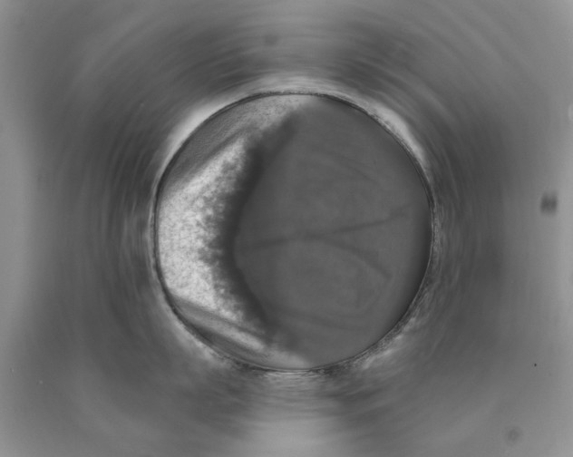 X0000089960863200707271900