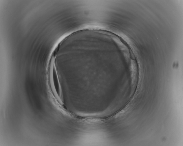 X0000089960864200707271900