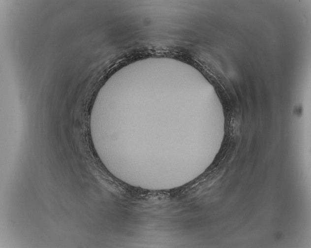 X0000089960865200707271859