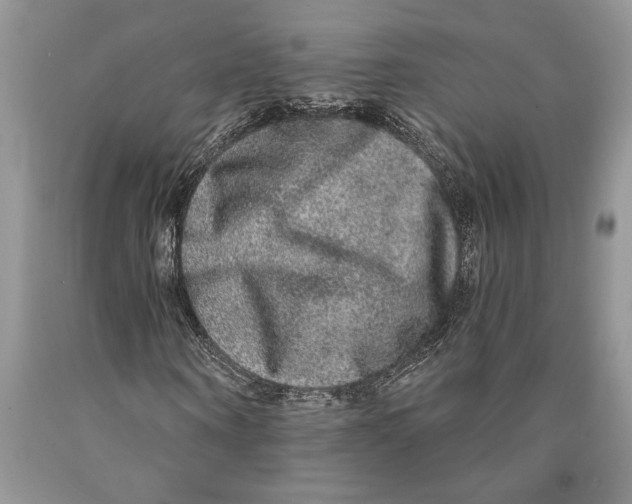 X0000089960866200707271859