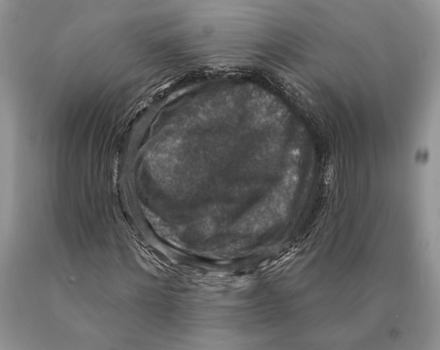 X0000089960868200707271859