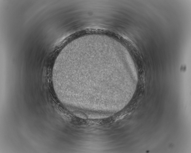 X0000089960870200707271859