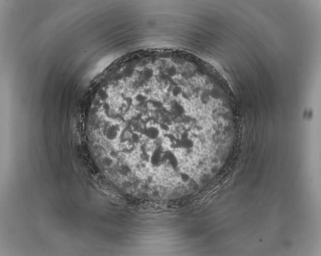 X0000089960871200707271859