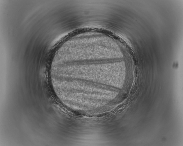 X0000089960872200707271859