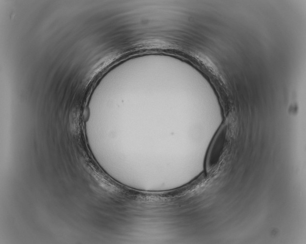 X0000089960873200707271859