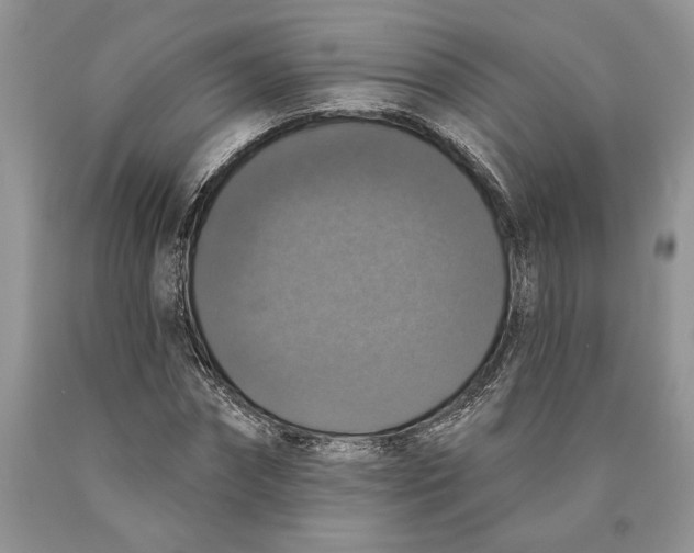 X0000089960874200707271859