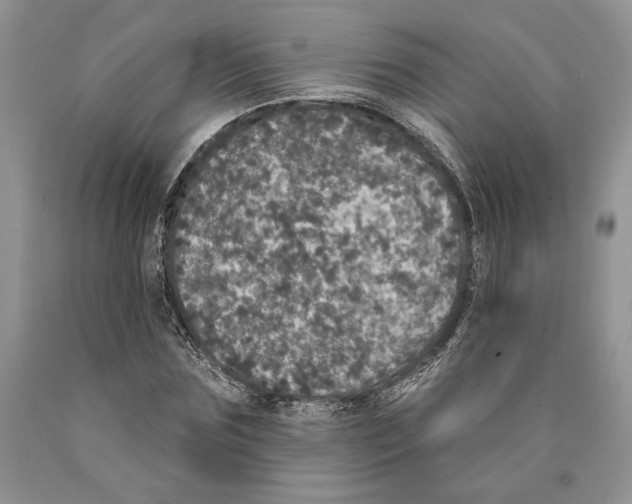 X0000089960875200707271859