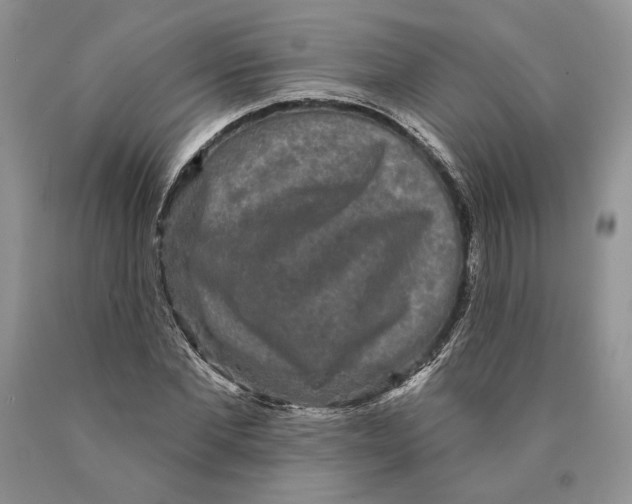 X0000089960877200707271859