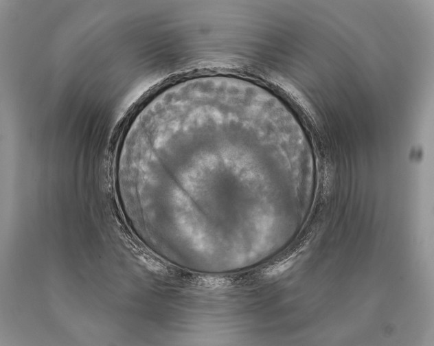 X0000089960878200707271859