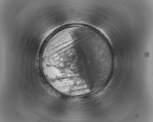 X0000089960879200707271859