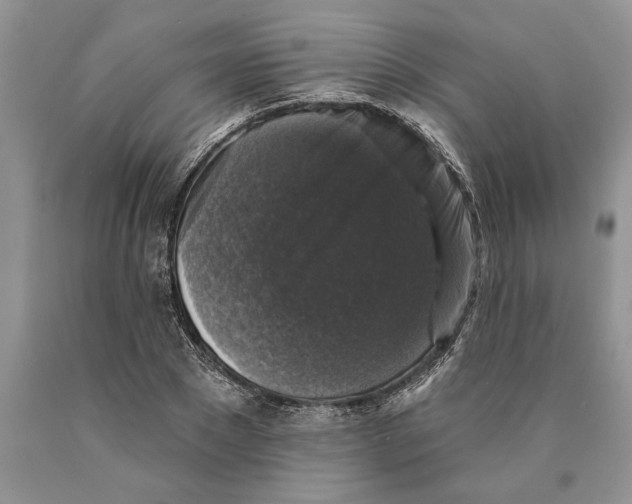 X0000089960881200707271859