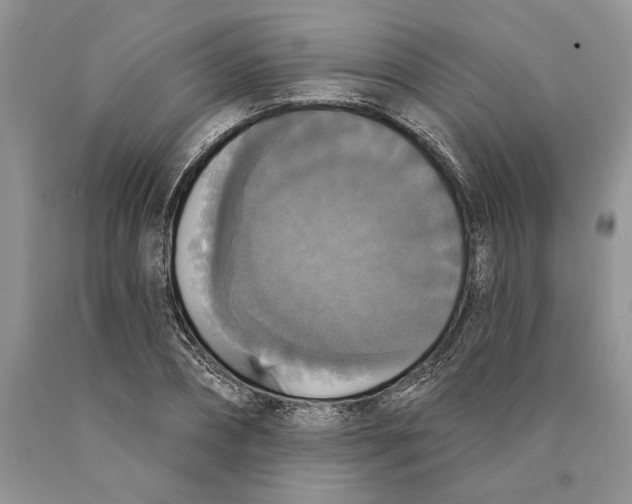 X0000089960882200707271859