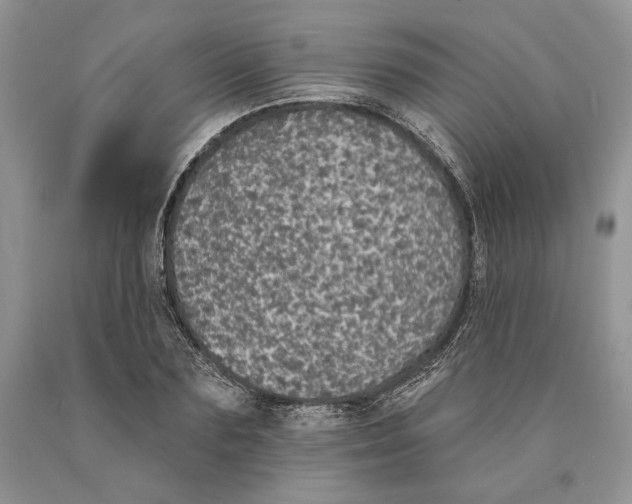 X0000089960883200707271859