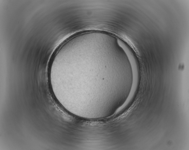 X0000089960884200707271859