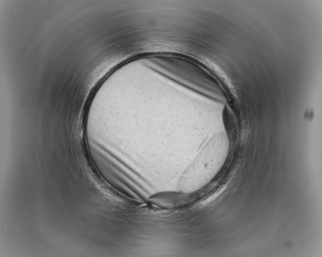 X0000089960885200707271859