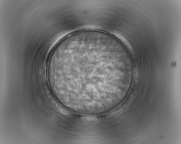 X0000089960886200707271859