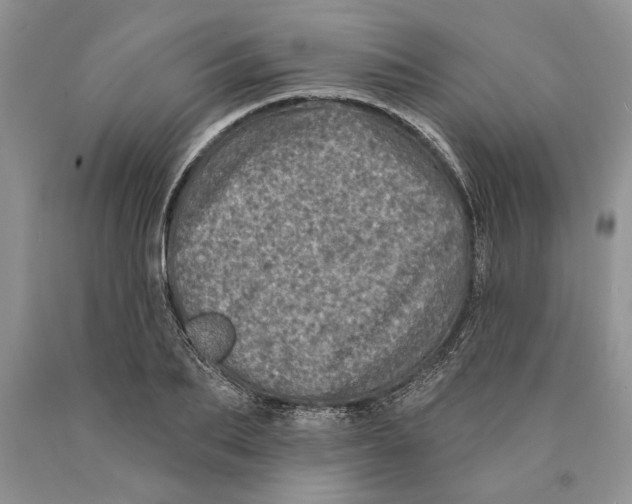 X0000089960887200707271859