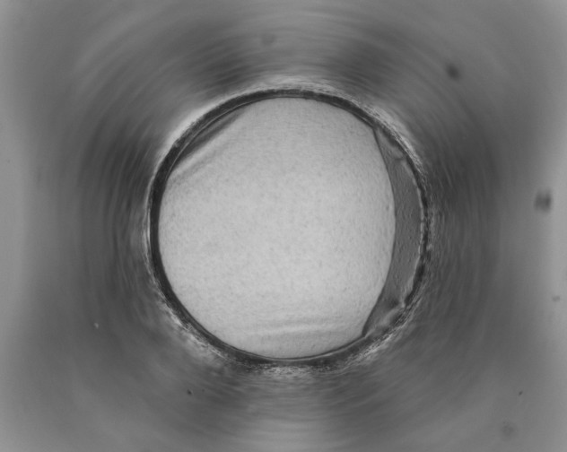 X0000089960888200707271859