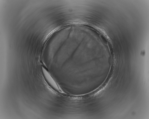 X0000089960889200707271859