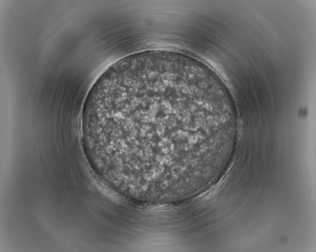 X0000089960891200707271859